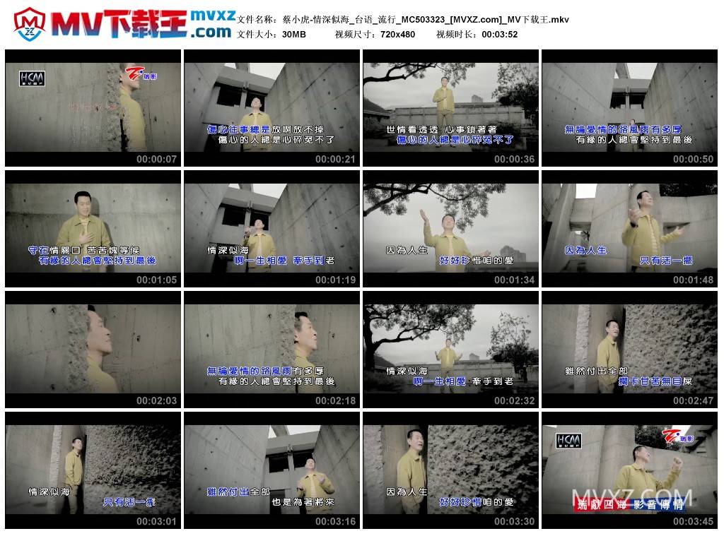 蔡小虎-情深似海_台语_流行_MC503323